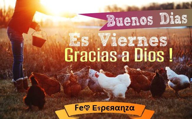 Tarjetas Hoy Es Viernes Imágenes De Bonitas Para Descargar Gratis 6579