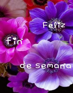 Tarjetas Para Desear Un Buen Fin De Semana