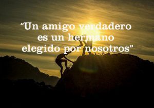 Un Amigo Verdadero Es Un Hermano Elegido Por Nosotros frases bonitas