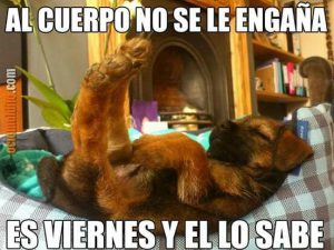 Un Excelente Fin De Semana