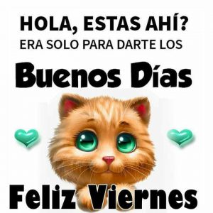 Viernes De Rumba Frases