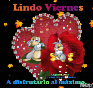 Viernes frases