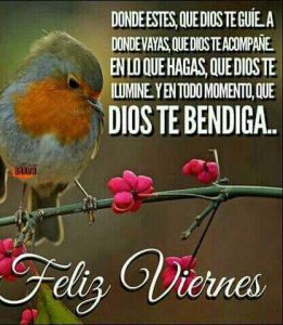 Viernes Social Frases