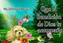 Photo of Ya Es Jueves Imagenes Para Celular Descargar