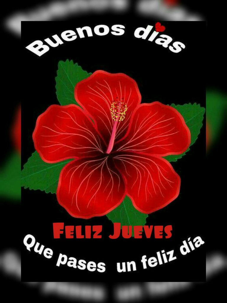 Ya Es Jueves Imagenes Para Whatsapp