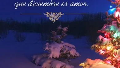 Photo of Desear Feliz Navidad