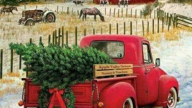 Photo of Imagenes Con Frases Lindas De Navidad