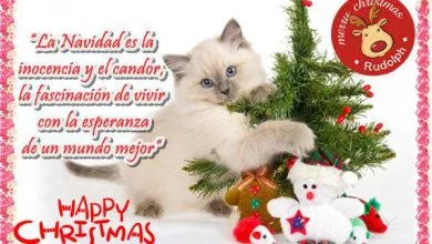 Photo of Imagenes De Frases Navideñas