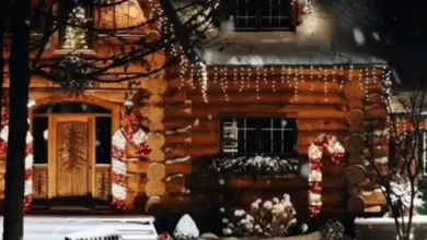 Photo of Imagenes De Navidad Con Mensajes Bonitos