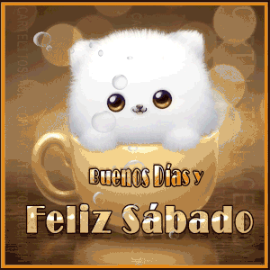 Buenos días sábado gif