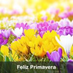 feliz dia de la primavera
