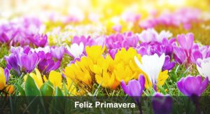 Feliz dia de la primavera