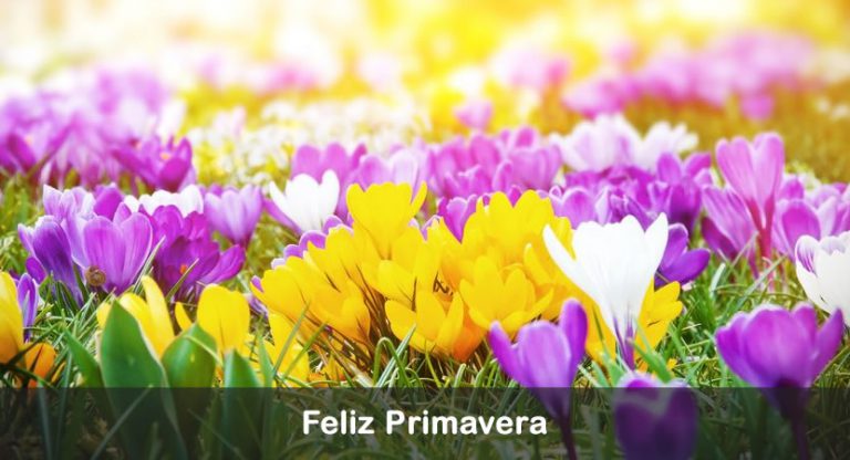 feliz dia de la primavera
