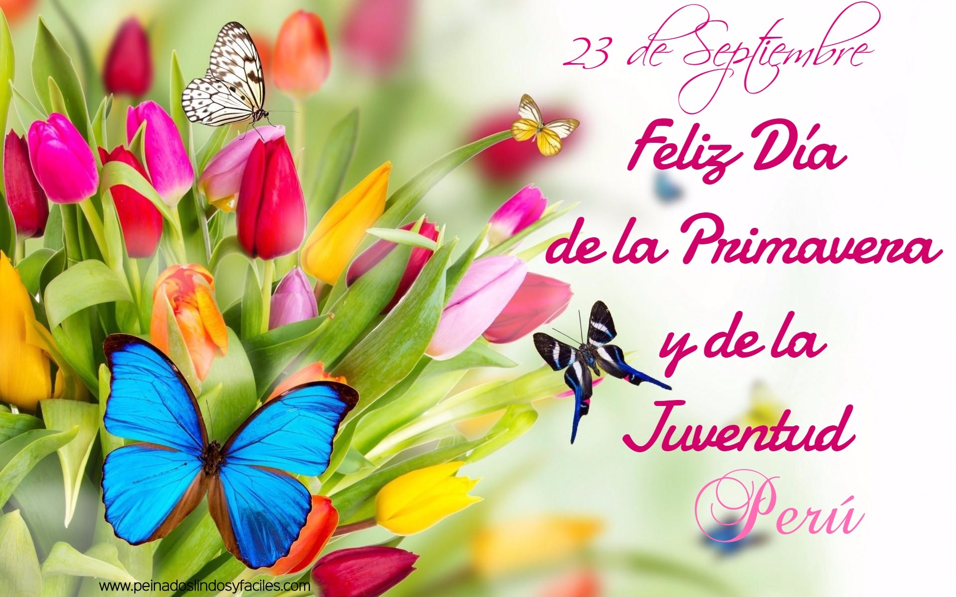 Feliz dia de la primavera y juventud frases – Imágenes de bonitas para  descargar gratis