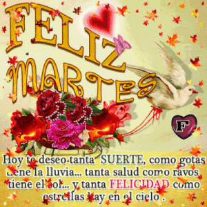 Feliz martes amiga