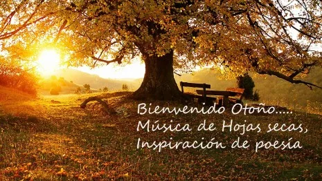 Feliz otoño frases
