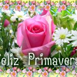 feliz primavera amor