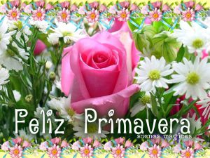 Feliz primavera amor