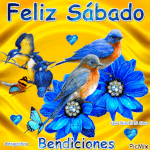 feliz sábado bendiciones