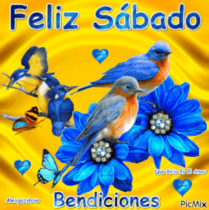 Feliz sábado bendiciones gif