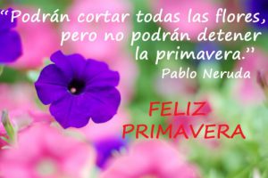 Frases feliz primavera