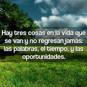 Imágenes de reflexión de la vida