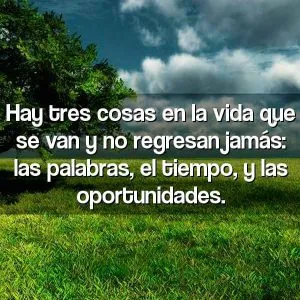 Imágenes de reflexión de la vida