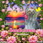 lindo sabadito