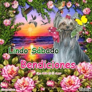 Lindo sabadito