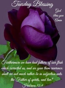 Bendecido Dia Martes Para Descargar Gratis para celular