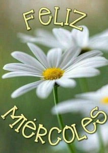 Bendecido Dia Miercoles