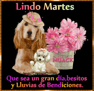 Bendecido martes buenos días para descargar gratis