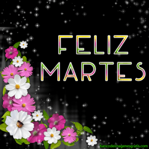 Bendecido Martes Cristiano Para Descargar Gratis para celular