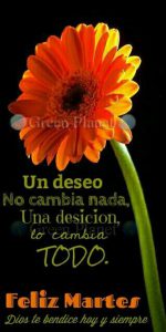 Bendecido Martes Cristiano para celular