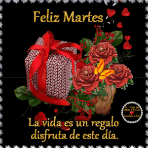 Bendecido martes para WhatsApp gratis