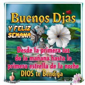 Bendiciones Feliz Lunes Para Whatsapp Gratis para celular