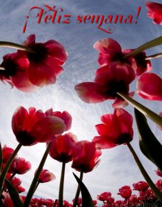 Bonito Inicio De Semana Frases