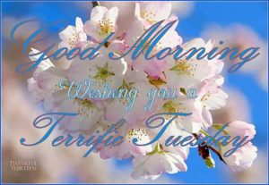 Bonito Martes Amiga para celular