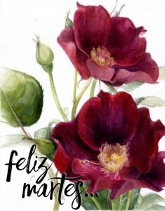 Bonito Martes Amor Para Descargar Gratis para celular