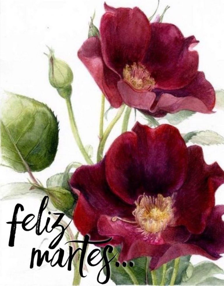 Bonito Martes Amor Para Descargar Gratis para celular
