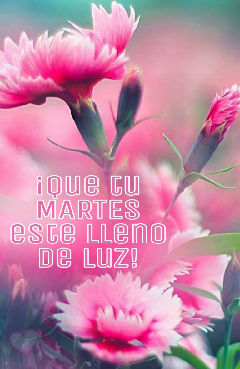 Bonito Martes Con Rosas Para Descargar Gratis para celular