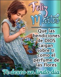 Bonito martes con rosas para celular