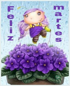Bonito martes mi amor