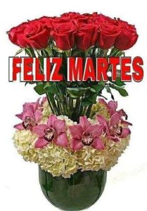 Bonito martes mi amor para descargar gratis