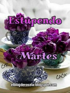 Bonito Martes Snoopy