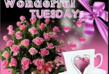 Photo of Buen Dia Lindo Martes Para Whatsapp Gratis para celular