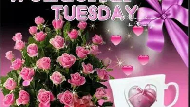 Photo of Buen Dia Lindo Martes Para Whatsapp Gratis para celular