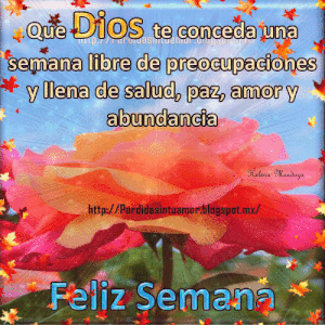 Buen inicio de semana amigos