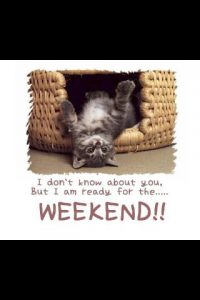 Buen Inicio De Semana Amor Frases Para Whatsapp Celular