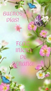 Buen Inicio De Semana Con Dios Para Whatsapp Celular